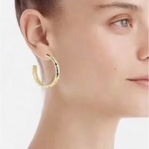 Alison Lou J. Crew Gold Tone and Crystal Hoop Earrings